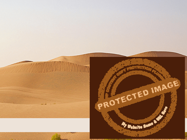 United Arab Emirates (UAE) Region Image (4)