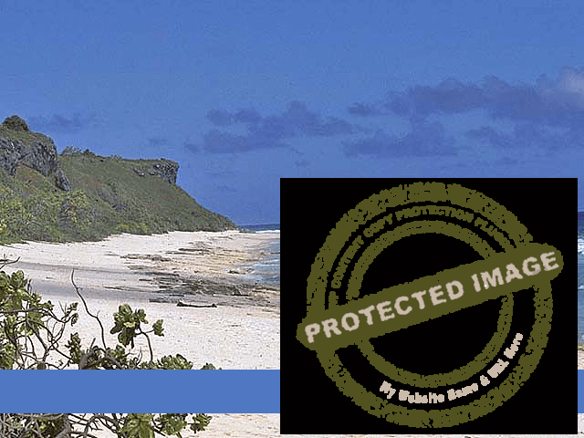 Pitcairn Islands Region Image (2)