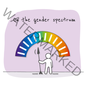 Gender Identity Quiz - Gender Spectrum