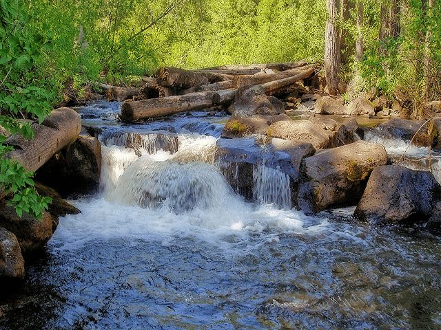 British Columbia Region Image (4)