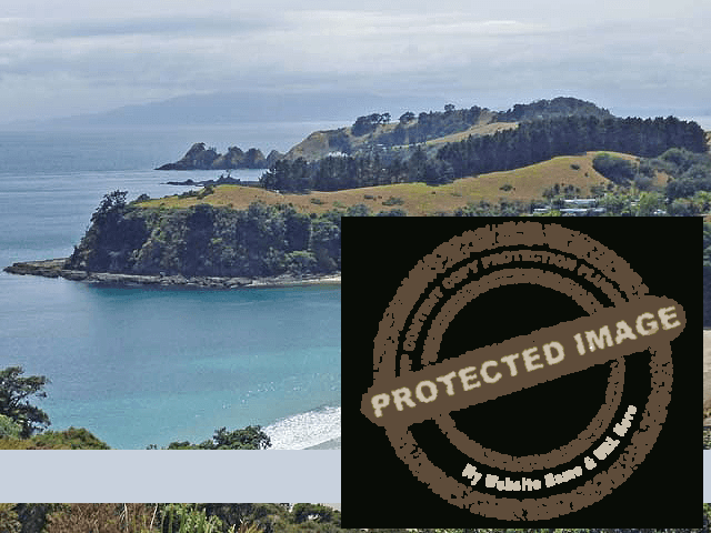Auckland Region Image (3)