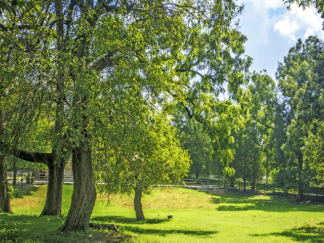 Virginia Region Image (2)