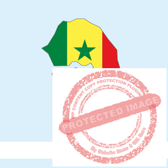 Senegal Forum Image