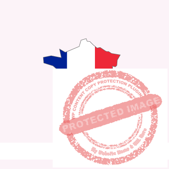 France Forum Image