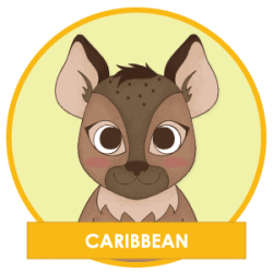 Gayther Footer (Hapi) - Caribbean