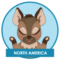 Gayther Footer (Hapi) - North America