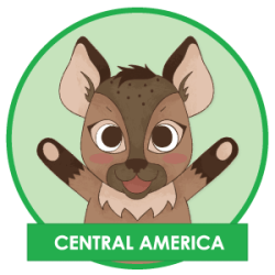 Gayther Footer (Hapi) - Central America