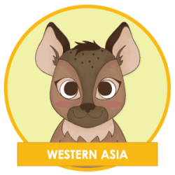 Gayther Footer (Hapi) - Western Asia