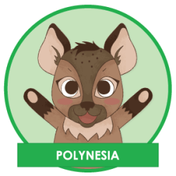 Gayther Footer (Hapi) - Polynesia