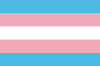 Transgender Flag - pride in gender (Large)
