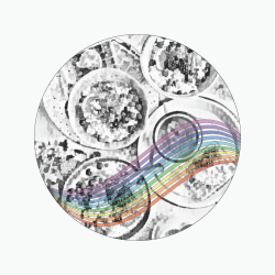 Gayther Media - Articles - Food & Drink