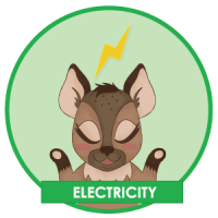 Gayther Footer (Hapi) - Electricity