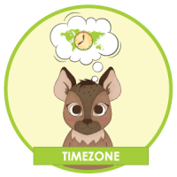 Gayther Footer (Hapi) - Timezone